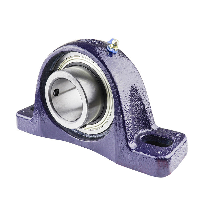 RHP SL1-7/8DEC Two Bolt Cast Iron Pillow Block and 1-7/8 Bore Eccentric Collar Full Width Insert