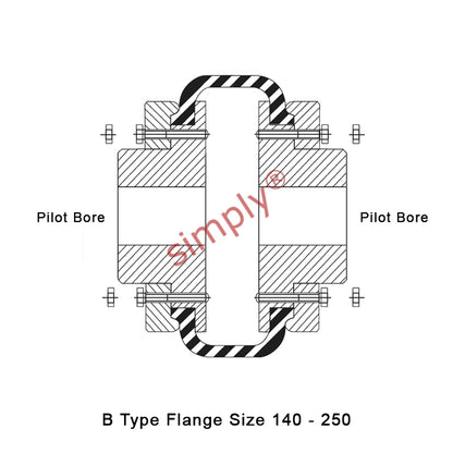 Major Brand F250B/F250B Pilot Bored Tyre Drive Coupling Assembly with Natural Rubber Tyre