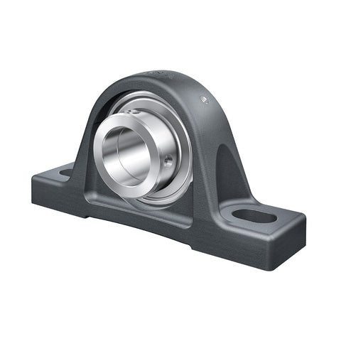 INA RASE1-7/16 Cast Iron Plummer Block Housing with Eccentric Collar Insert 1-7/16 inch Bore