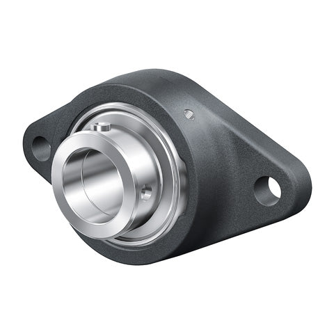INA RCJTY20XLN Two Bolt Cast Iron Oval Housing with Grub Screw Insert 20mm Bore