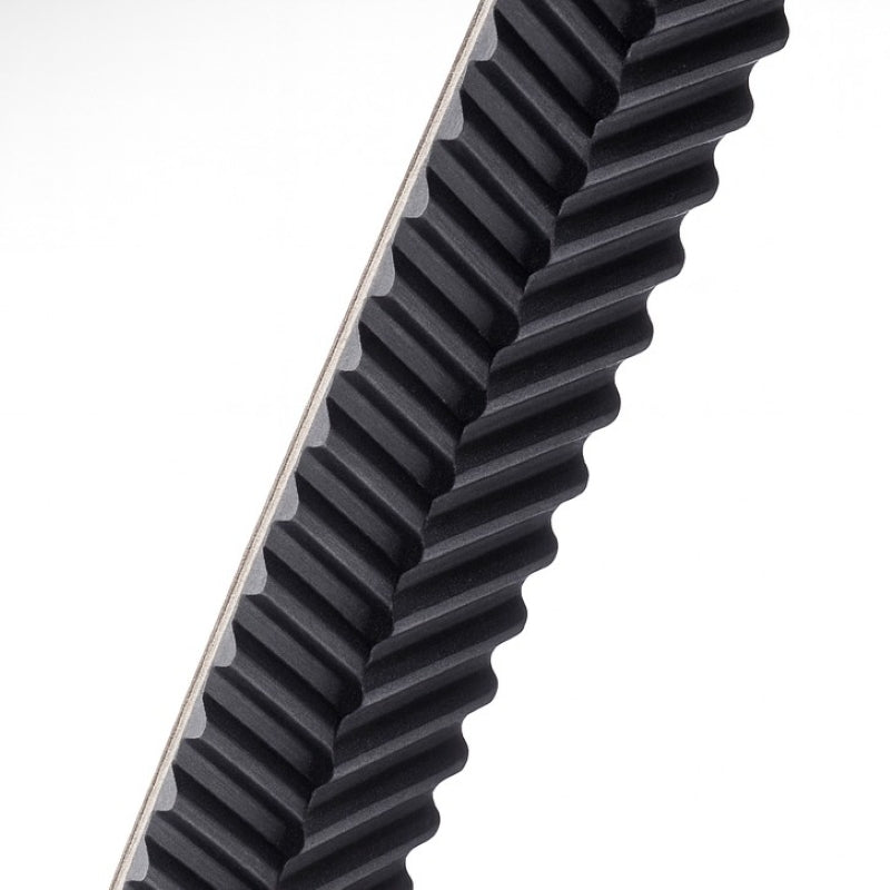 ContiTech P1600 SilentSync Helical Offset Toothed Belt 64mm Wide 1600mm Length 200 Teeth Allow 2-3 Days